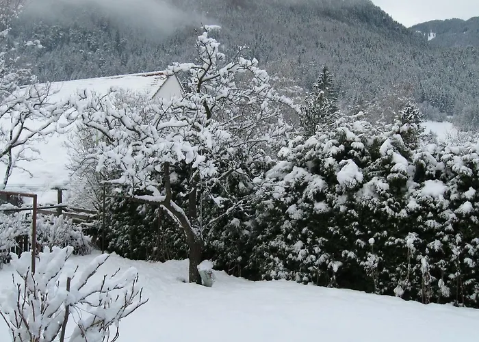 بيت ضيافة Delacher ريد إم أوبيرينتال