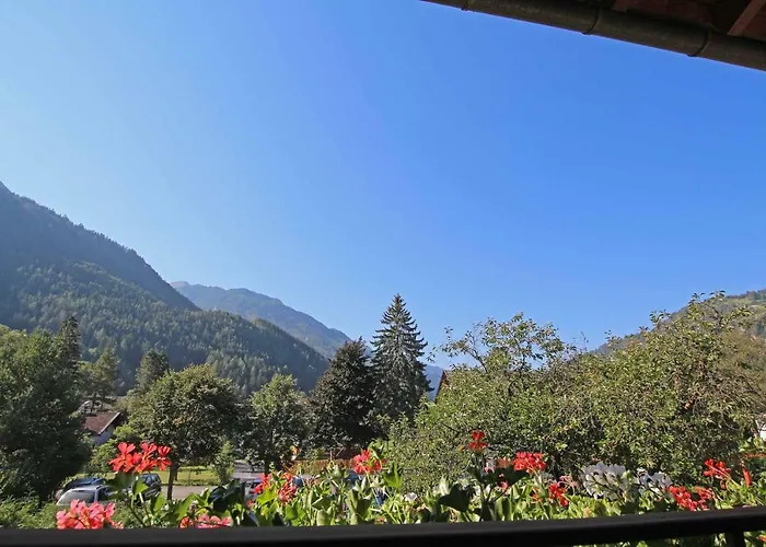 بيت ضيافة Delacher 3*